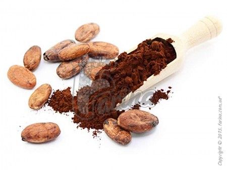Какао-порошок Natra Cacao алкализированный красный Cordoba 10-12%< фото цена